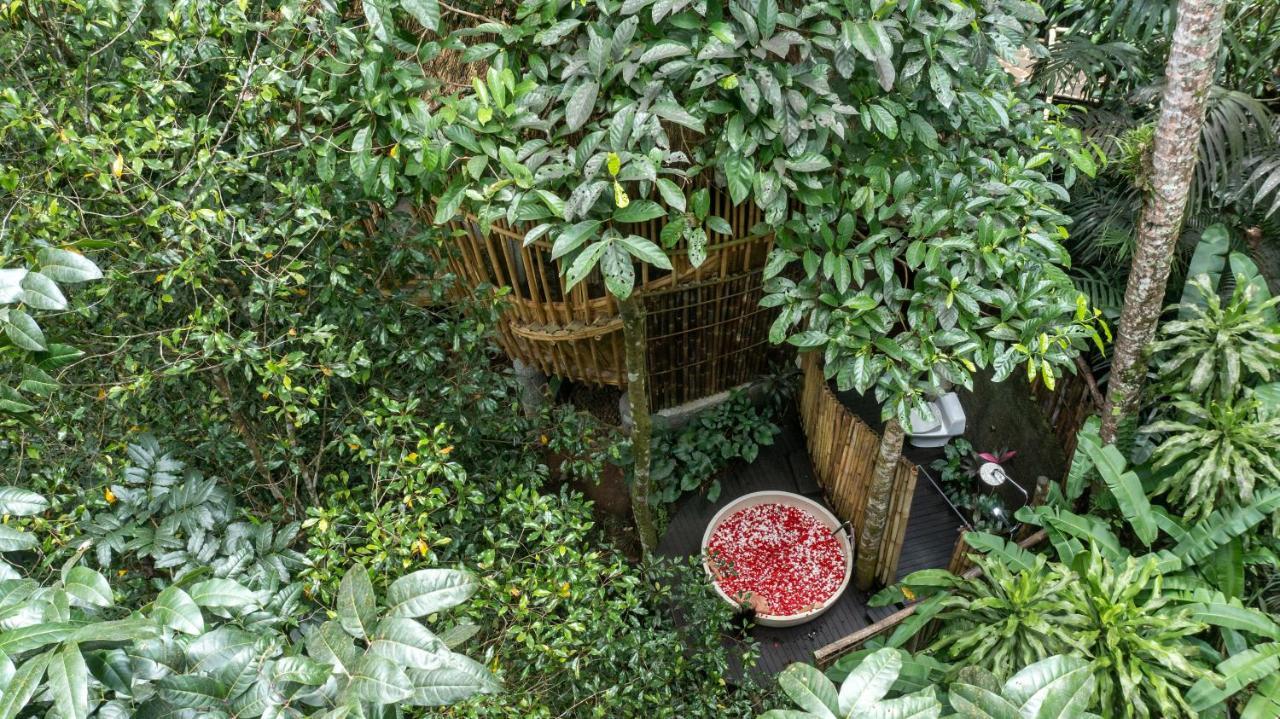 Вилла Amarta Pesagi Retreat Tabanan Экстерьер фото