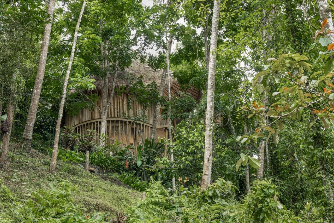 Вилла Amarta Pesagi Retreat Tabanan Экстерьер фото