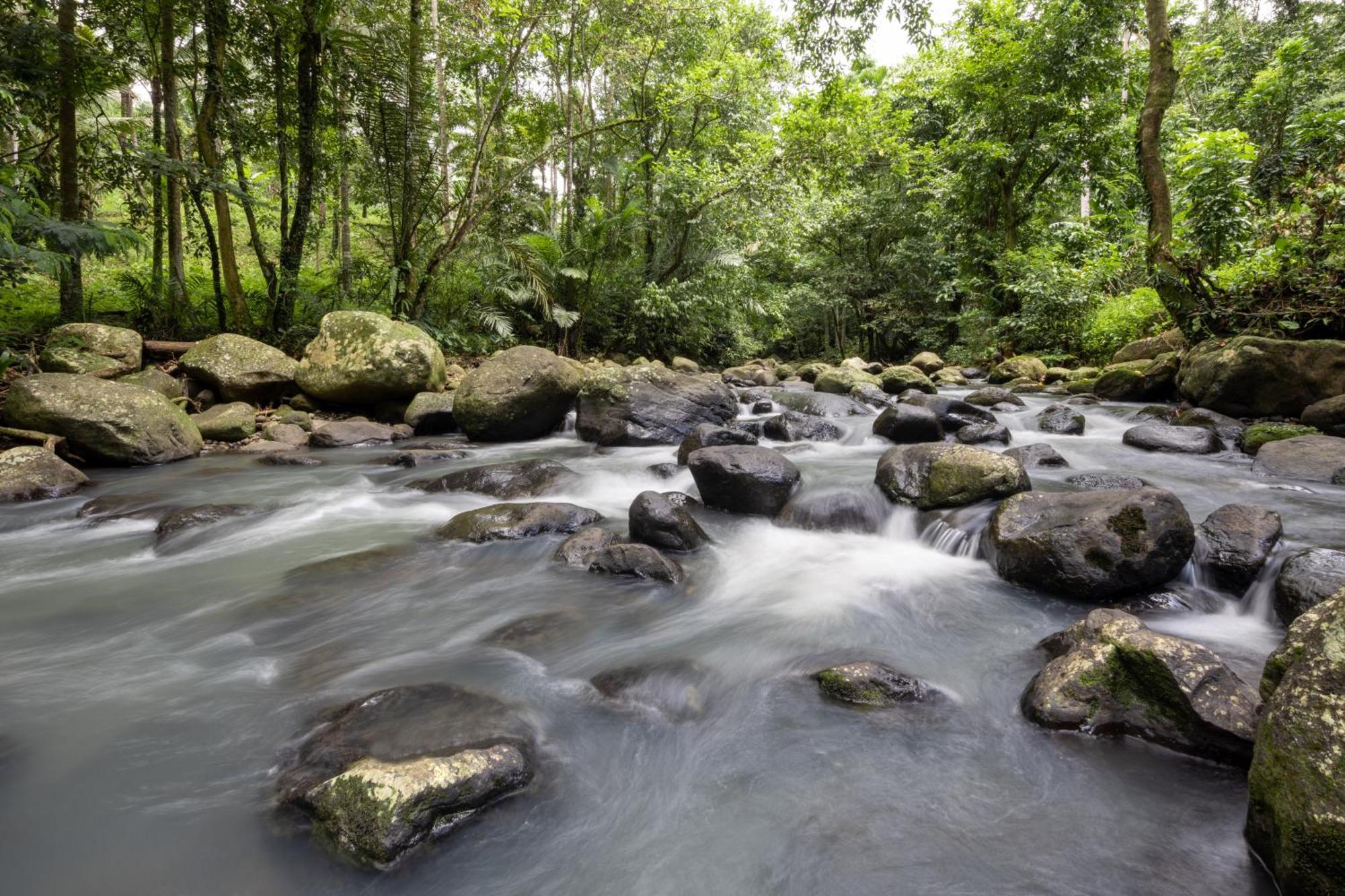 Вилла Amarta Pesagi Retreat Tabanan Экстерьер фото